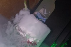 IMG-20181122-WA0019